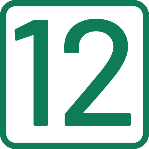12 mesi